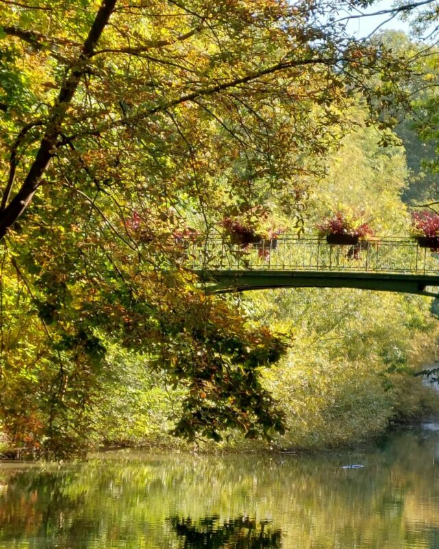 Escapade automnale sur les bords de Marne #naturephotographer #riviere #balade